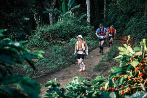 BIB: 
                            <button type="button" onclick="openModal(25806650)" class="btn btn-primary btn-sm float-right btn-popup" data-toggle="modal" data-target=".modal-high-quality">
                        <i class="fas fa-shopping-cart"></i> Add to Cart
                    </button>
                                            <button type="button" onclick="isThisMe(25806650, true)" class="btn btn-success btn-sm float-right btn-popup btn-isme hidden" data-toggle="tooltip" data-placement="bottom" title="นี่คือรูปของคุณใช่ไหม คลิกที่นี่เพื่อเอาเข้าอัลบั้ม">
                        <i class="fas fa-plus"></i> Add to album
                    </button>
                    <button type="button" onclick="isThisMe(25806650, false)" class="btn btn-warning btn-sm float-right btn-popup btn-isnotme hidden">
                        <i class="fas fa-ban"></i> Remove from album
                    </button>